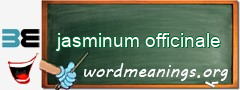 WordMeaning blackboard for jasminum officinale